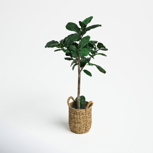 Joss & Main 30'' Faux Fiddle Leaf Fig Tree in Glass Basket & Reviews